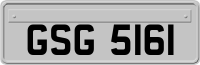 GSG5161