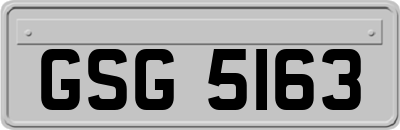 GSG5163