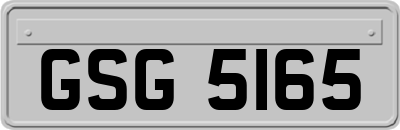 GSG5165