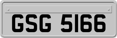 GSG5166