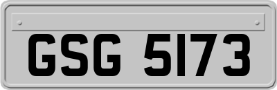GSG5173