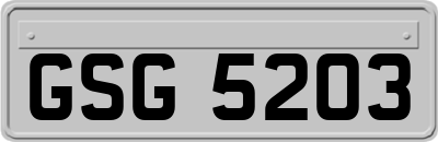 GSG5203