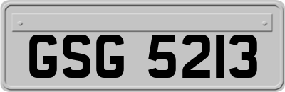 GSG5213