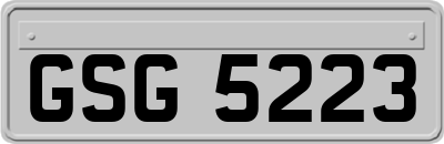 GSG5223