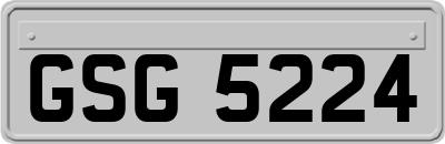 GSG5224