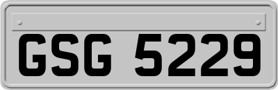 GSG5229