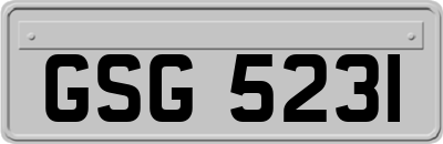 GSG5231
