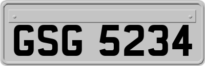 GSG5234