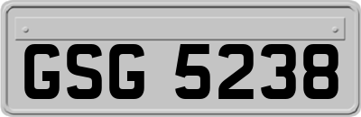 GSG5238