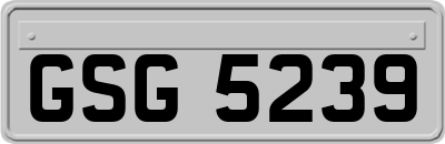 GSG5239