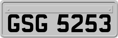 GSG5253