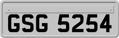 GSG5254