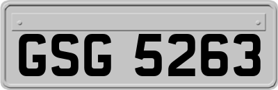 GSG5263