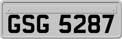 GSG5287
