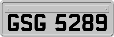 GSG5289