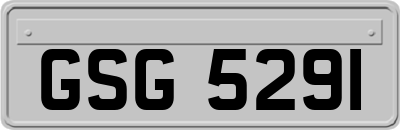 GSG5291