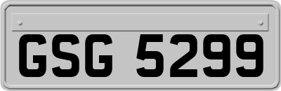 GSG5299