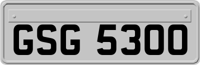 GSG5300