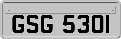 GSG5301
