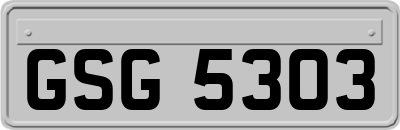 GSG5303