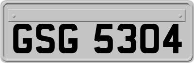 GSG5304