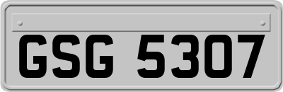 GSG5307