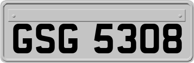 GSG5308