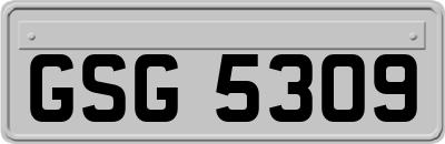 GSG5309
