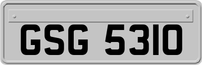 GSG5310