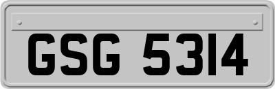 GSG5314