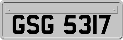 GSG5317