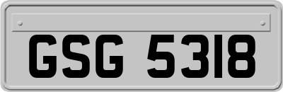 GSG5318