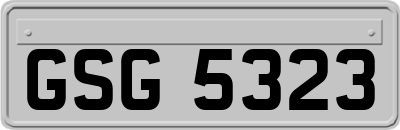 GSG5323