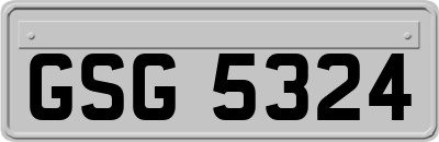 GSG5324