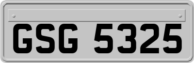 GSG5325