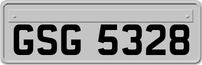 GSG5328