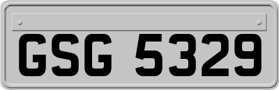 GSG5329