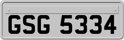 GSG5334