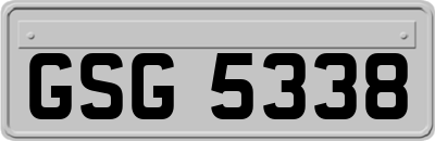 GSG5338