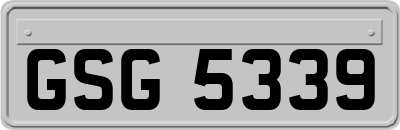 GSG5339