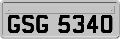 GSG5340