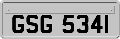 GSG5341