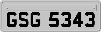 GSG5343