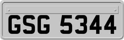 GSG5344