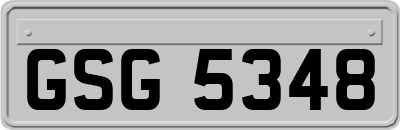 GSG5348