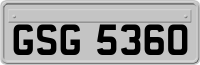 GSG5360