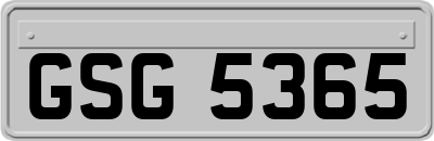 GSG5365