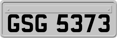 GSG5373