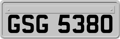 GSG5380