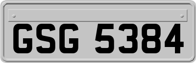 GSG5384